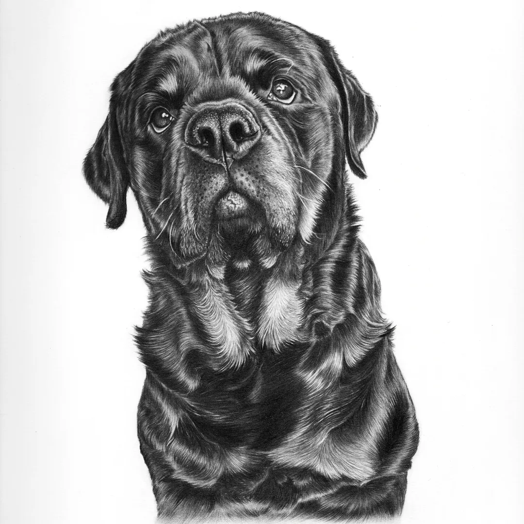 Desenho realista 1