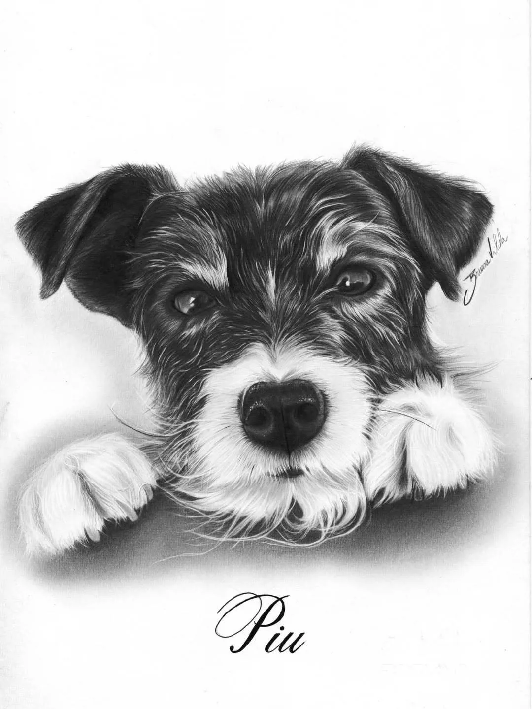 Desenho realista de pet