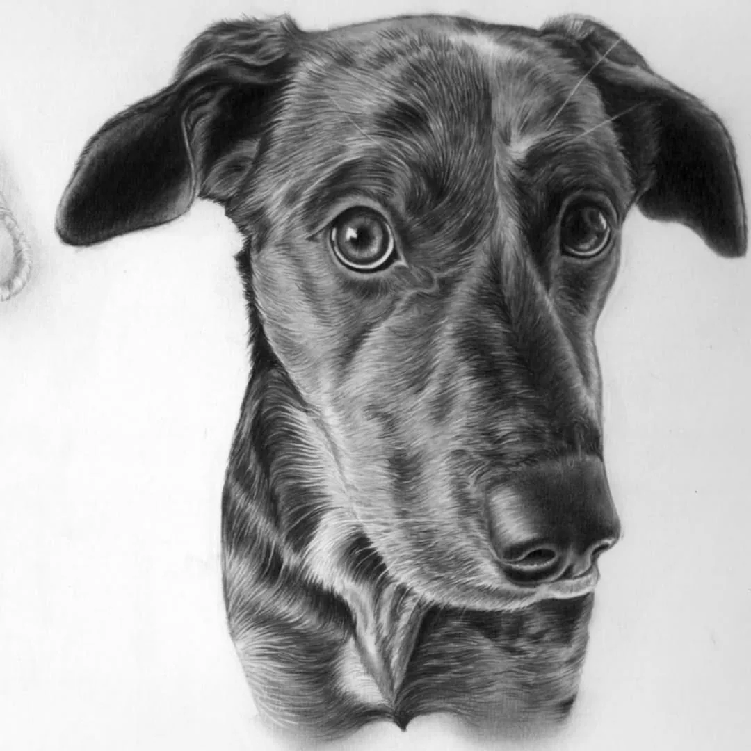 Desenho realista 3