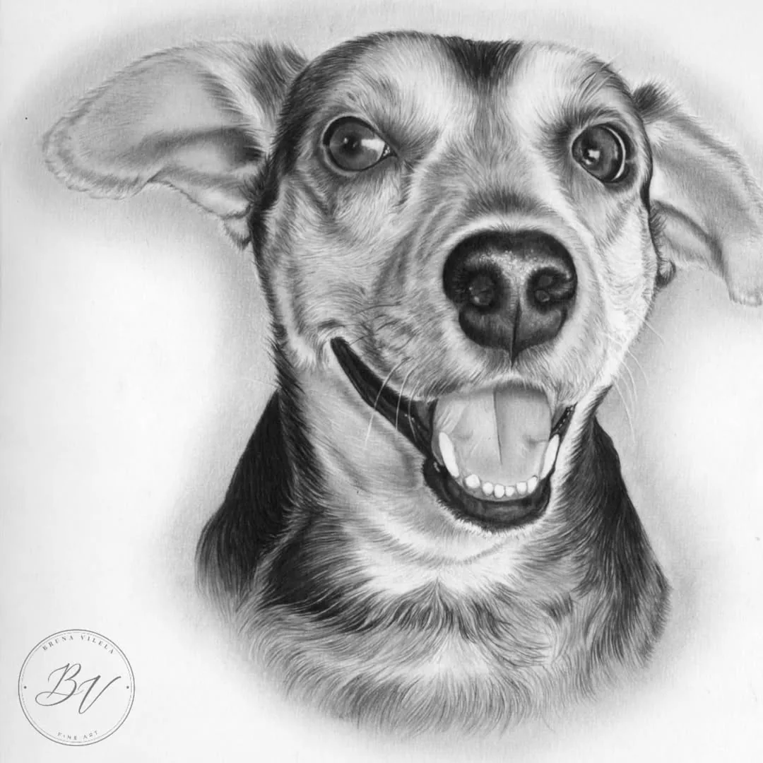 Desenho realista 4